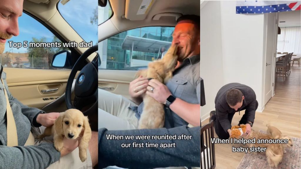 Instagram video shows puppy's moments with his dad