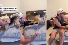 Rescue dog can barely contain excitement when owner returns home