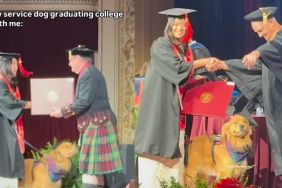 Owner brings service dog to graduation ceremony in viral video