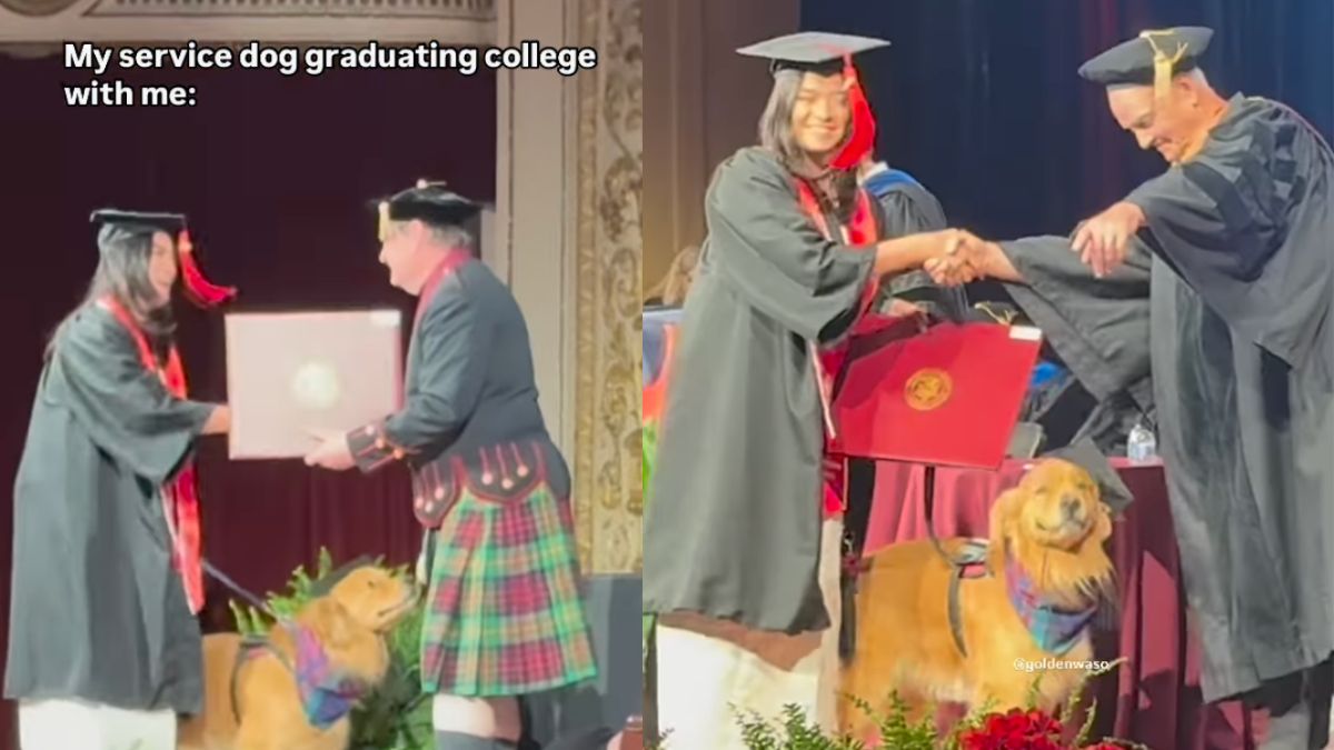 Video Service Dog Graduates & Walks Alongside Owner During Ceremony(02)