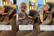 Toddler asks dog pointed questions about playtime plans