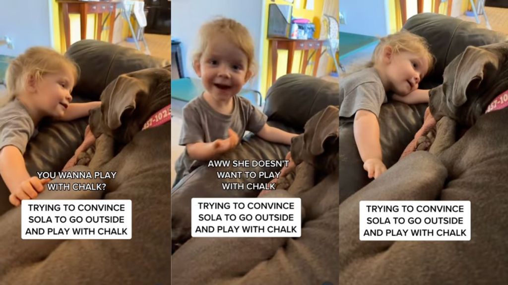 Toddler asks dog pointed questions about playtime plans
