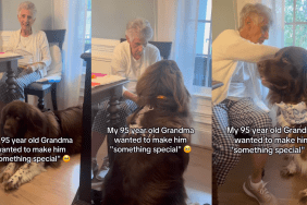 Grandma stitches Newfoundland a scarf.