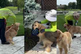 Video: Golden Retriever Offers ‘Emotional Support’ to Landscapers Working in Owner’s Yard
