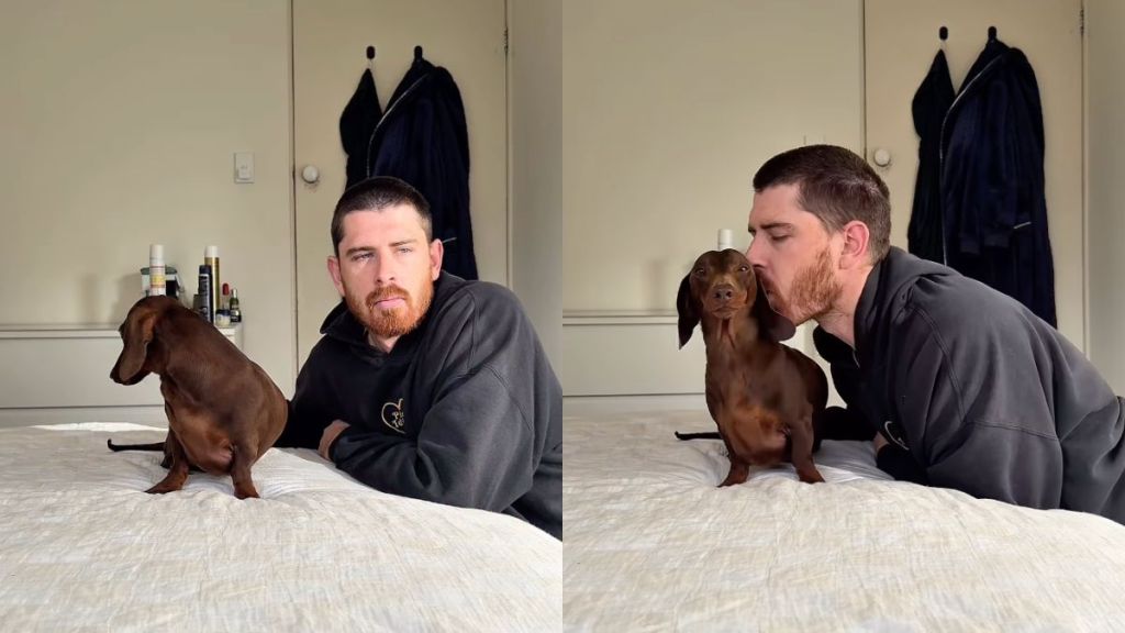 Instagram video shows Dachshund is too surprised to react to kisses