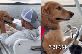 Dog and human on a boat, chasing sunrise