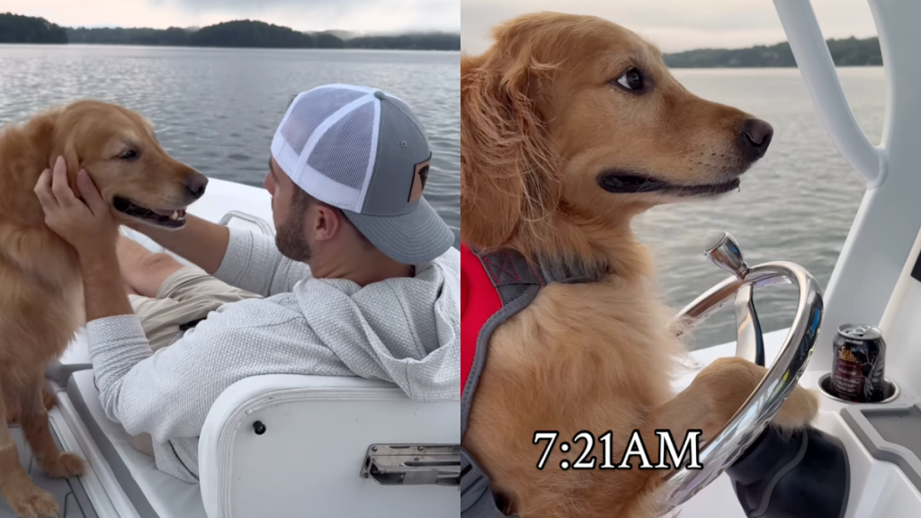 Dog and human on a boat, chasing sunrise