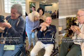 Fabio, the Chihuahua at an assisted living facility.