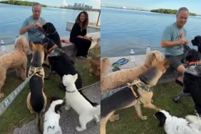 Video: Rescue Puppy Excels During His First 'Happy Hour' in New Neighborhood