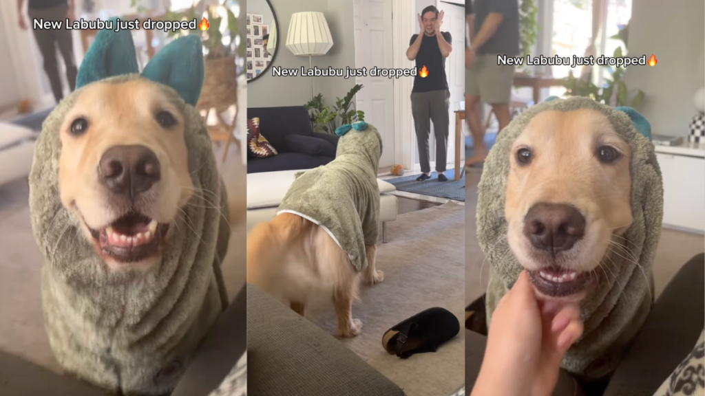 Golden Retriever as a Labubu.