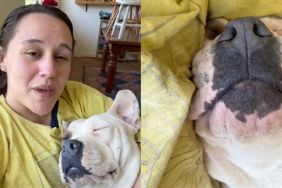 Owner shares how their Pit Bull saved their life in video