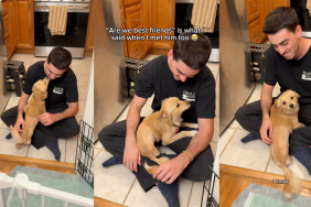 Falling in love with a foster pup.