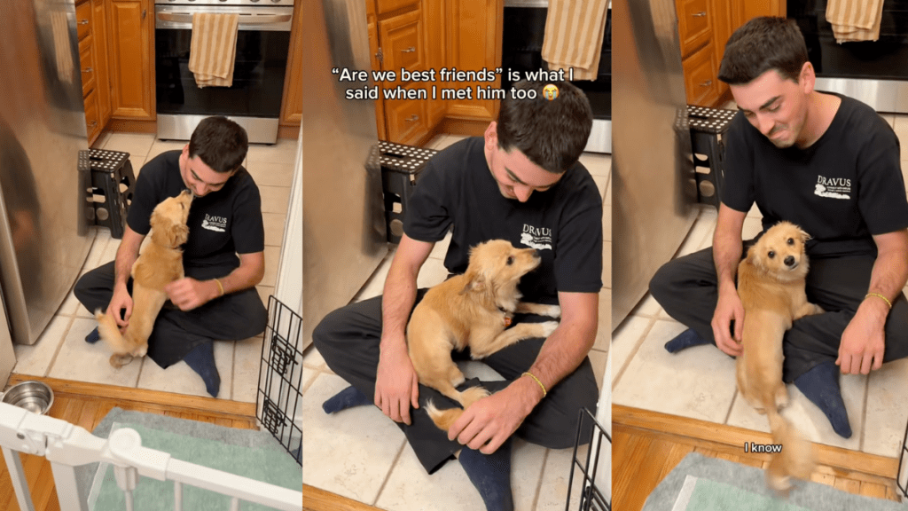 Falling in love with a foster pup.