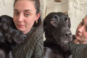dog mom outing video