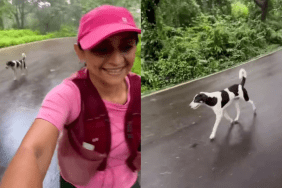 stray dog woman video