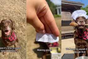 Dog pizza video