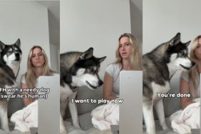 Husky work from home video