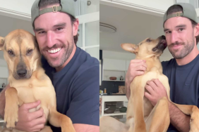 Adorable puppy video