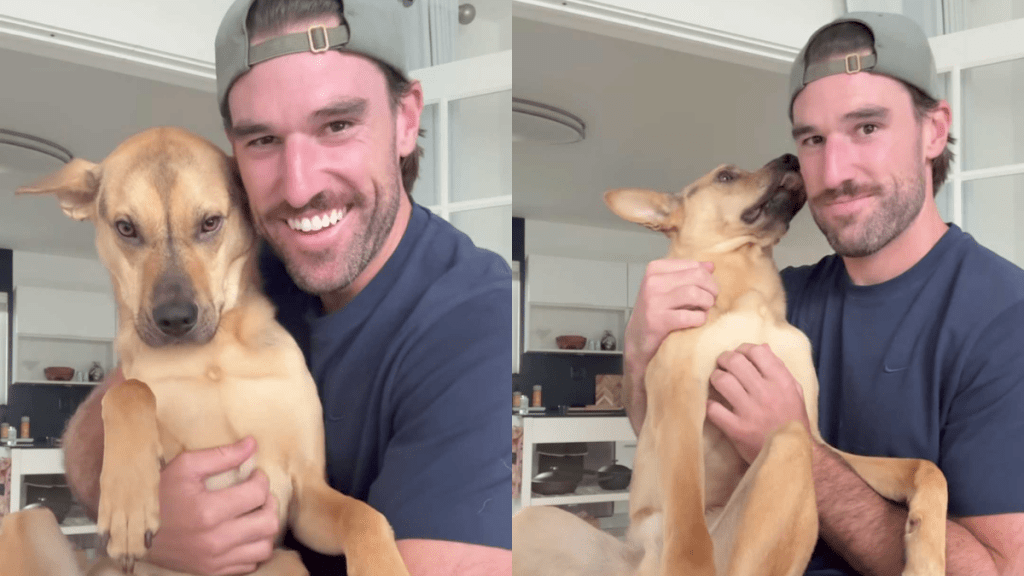 Adorable puppy video