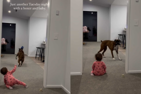 Adorable dog and baby video