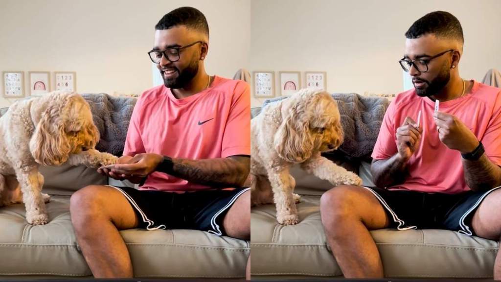 Cockapoo mathematics video