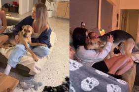 rescue puppy video