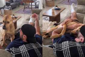 rescue puppy cuddle video