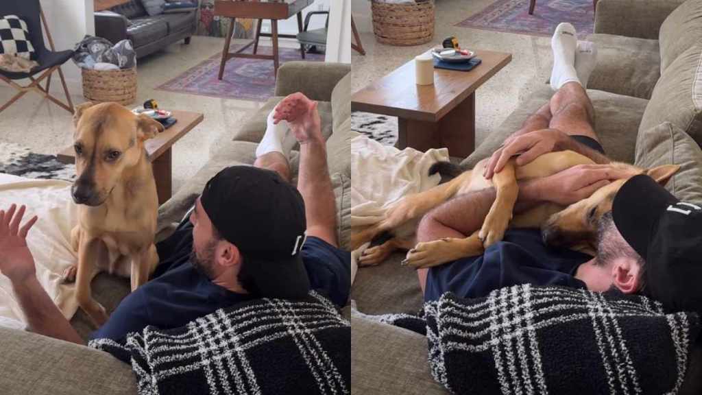 rescue puppy cuddle video