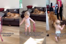 Toddler dog walk video