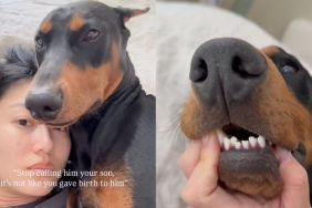 Doberman and owner's teeth alignment matches in adorable video