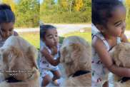 Video: Little Girl Assures Adopted Golden Retriever He’s Safe & Loved Now