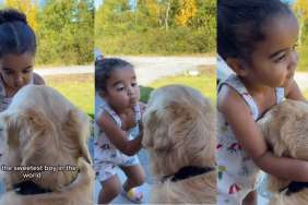 Video: Little Girl Assures Adopted Golden Retriever He’s Safe & Loved Now