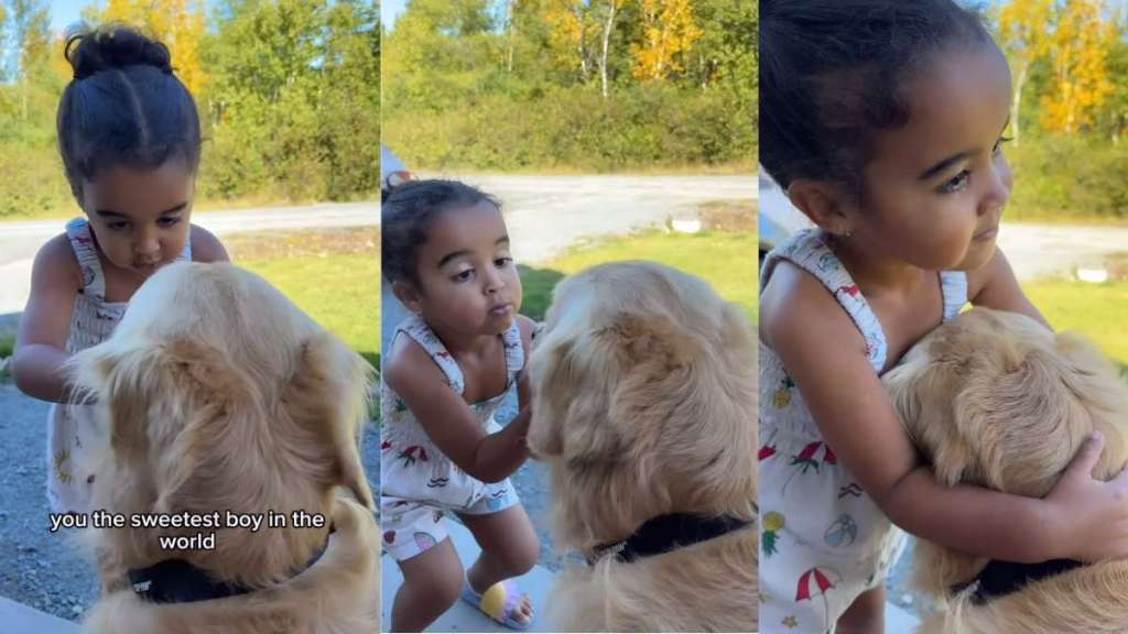 Video: Little Girl Assures Adopted Golden Retriever He’s Safe & Loved Now