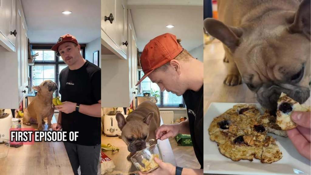 Video: ‘Chef’ Frenchie Helps Owner Make a Dog-Friendly Pancake