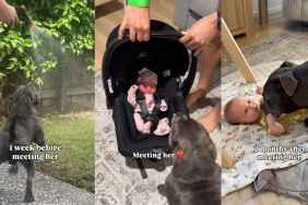 Video: Staffy’s Before & After Meeting Baby Sister Is Proof of Their Growing Connection