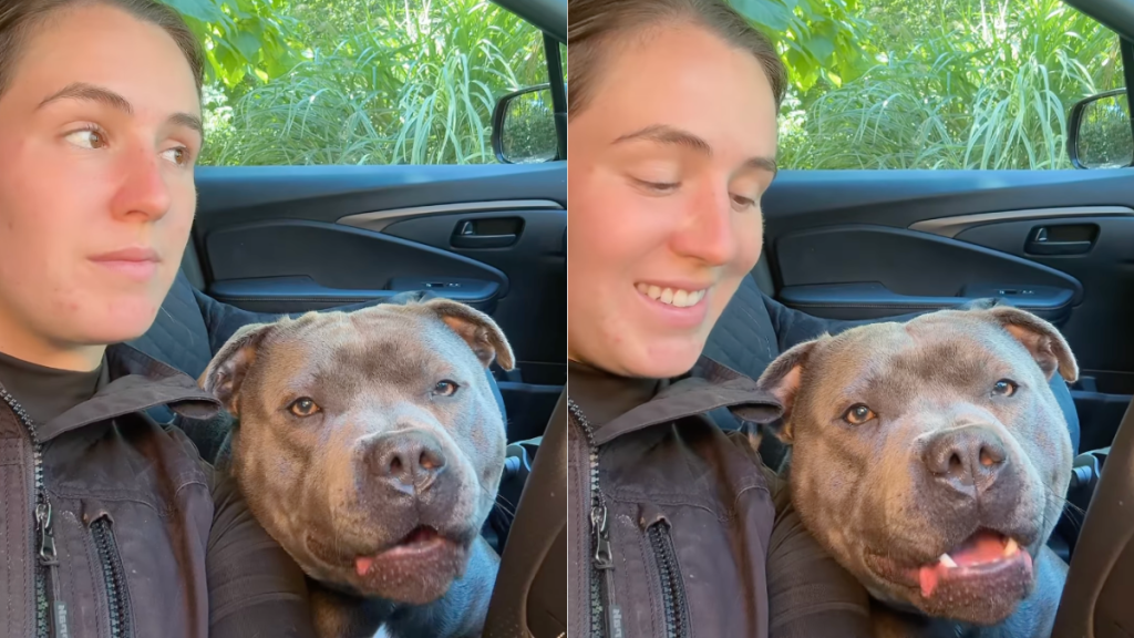 dog message video