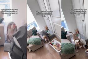 Video: 'Aggressive' Dog Wakes & Wags Tail Several Minutes After a Stranger Comes Home