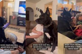 Dog Never Misses a Family Movie Night in Adorable Video