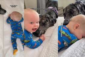 Video: Big Dog & Tiny Baby's Favorite Game to Play Involves a Ton of Giggles