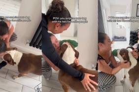 Video: American Bully’s Reaction To Meeting His ‘Two Favorite People’ Is Truly Heartwarming