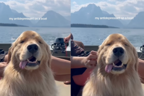 Banks enjoying a boat ride.
