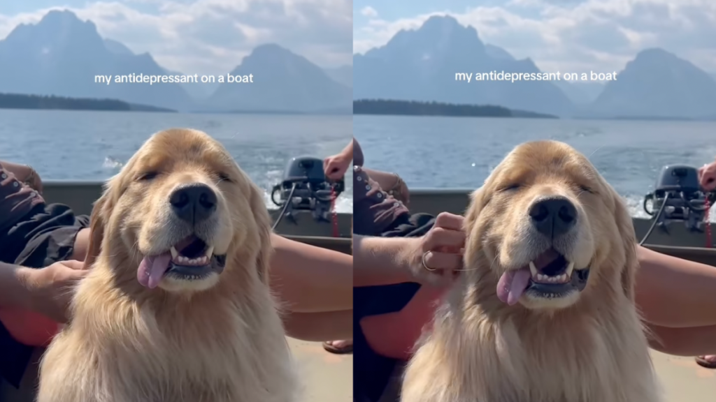 Banks enjoying a boat ride.