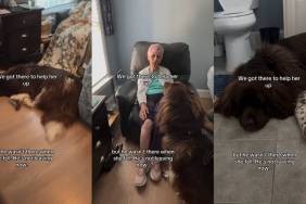 Video: Newfoundland Doesn’t Leave Grandma’s Side After Learning She Fell Down