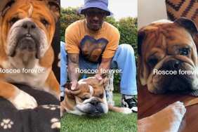 Lewis Hamilton Mourns Late Dog’s Passing With Gut-Wrenching Tribute