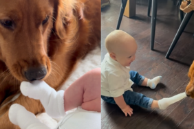 Dog removes Babys sock