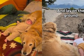 Video: Owner Shares Golden Retriever’s Camping Adventures With Baby