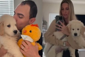 Owner Shares Cute Video of Golden Retriever Puppy’s First Ever Vet Visit