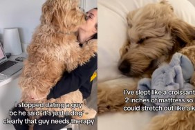 Video: Dog Mom Lists Things She’s Done That Would Make ‘Non-Dog Person’ Spiral
