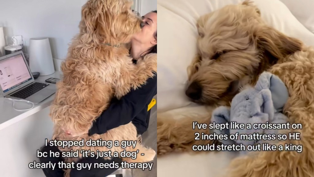 Video: Dog Mom Lists Things She’s Done That Would Make ‘Non-Dog Person’ Spiral