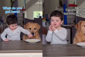 Video: Golden Retriever Joins Toddler in Cutest Mischief